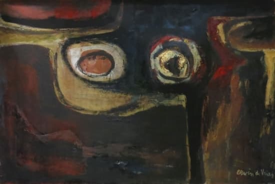 Het magische oog